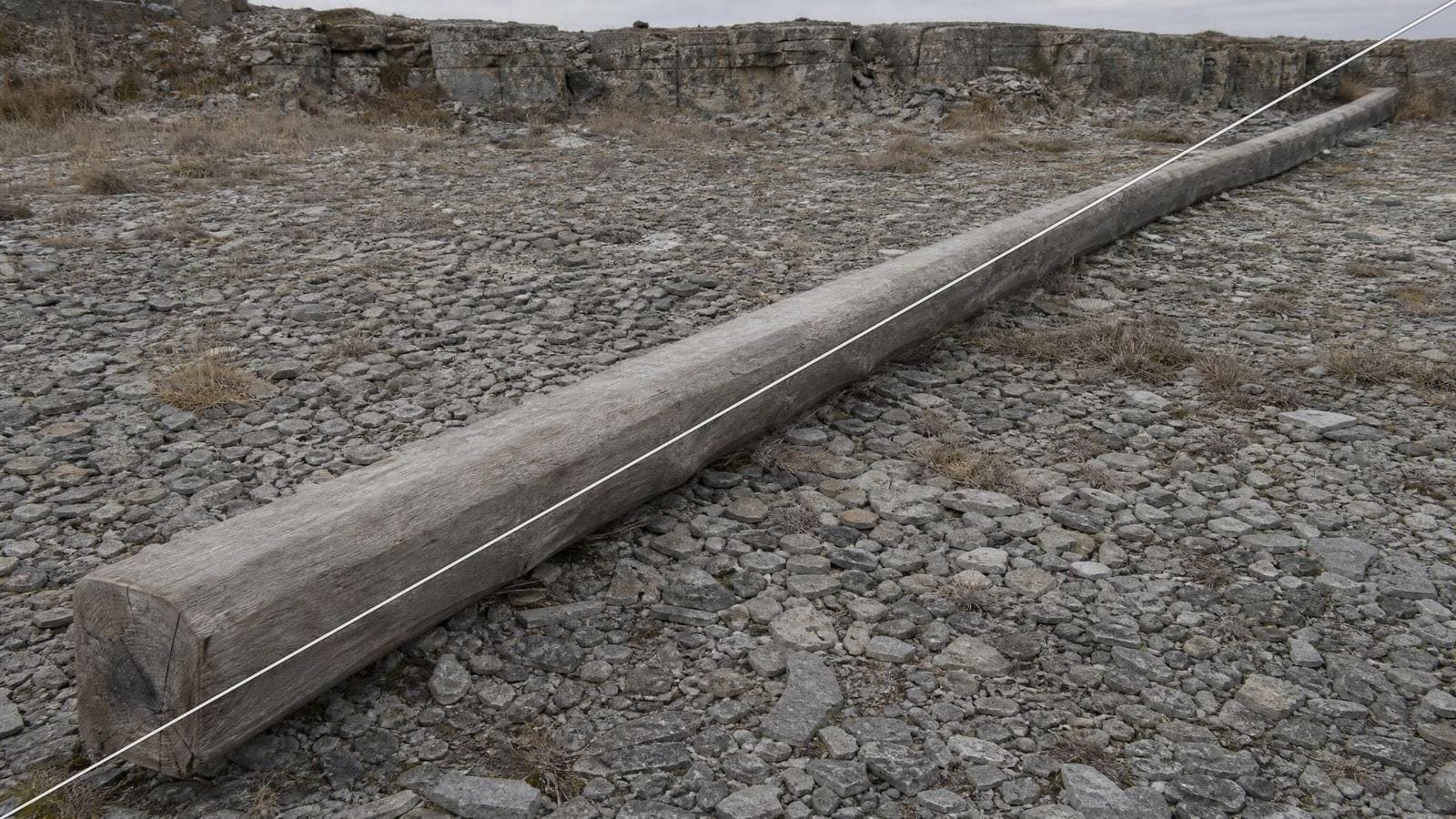 Baroque diagonal overlay on a fallen oak beam running from lower left to upper right