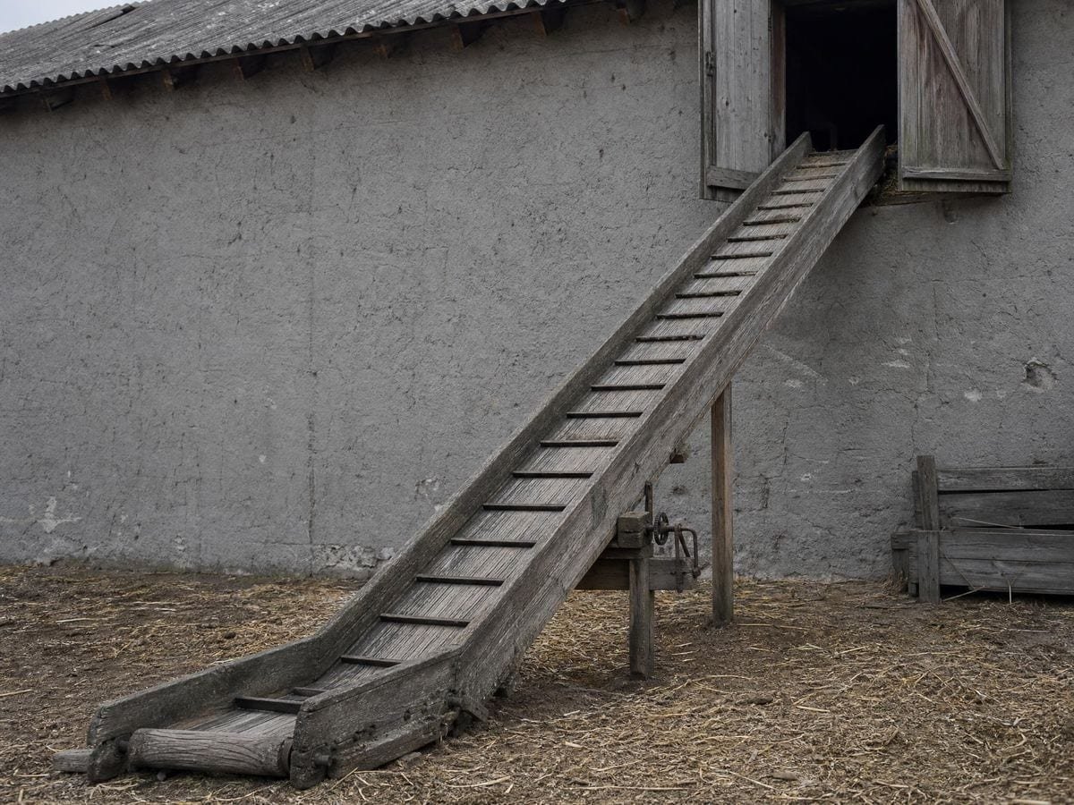 A timber hay elevator running steeply from a farmyard up to an open loft door