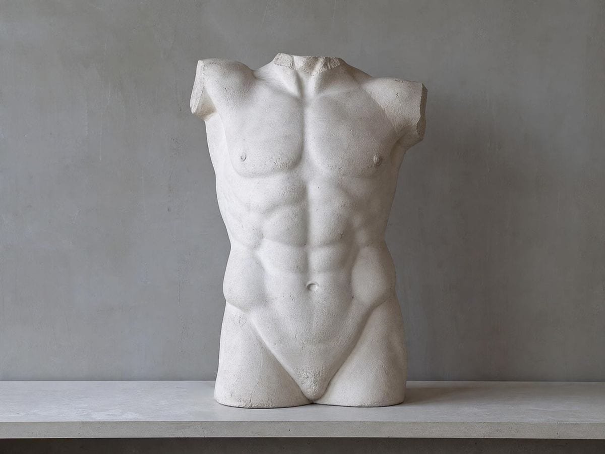A plaster cast of a classical torso lit evenly, ribcage and hips reading as landmarks