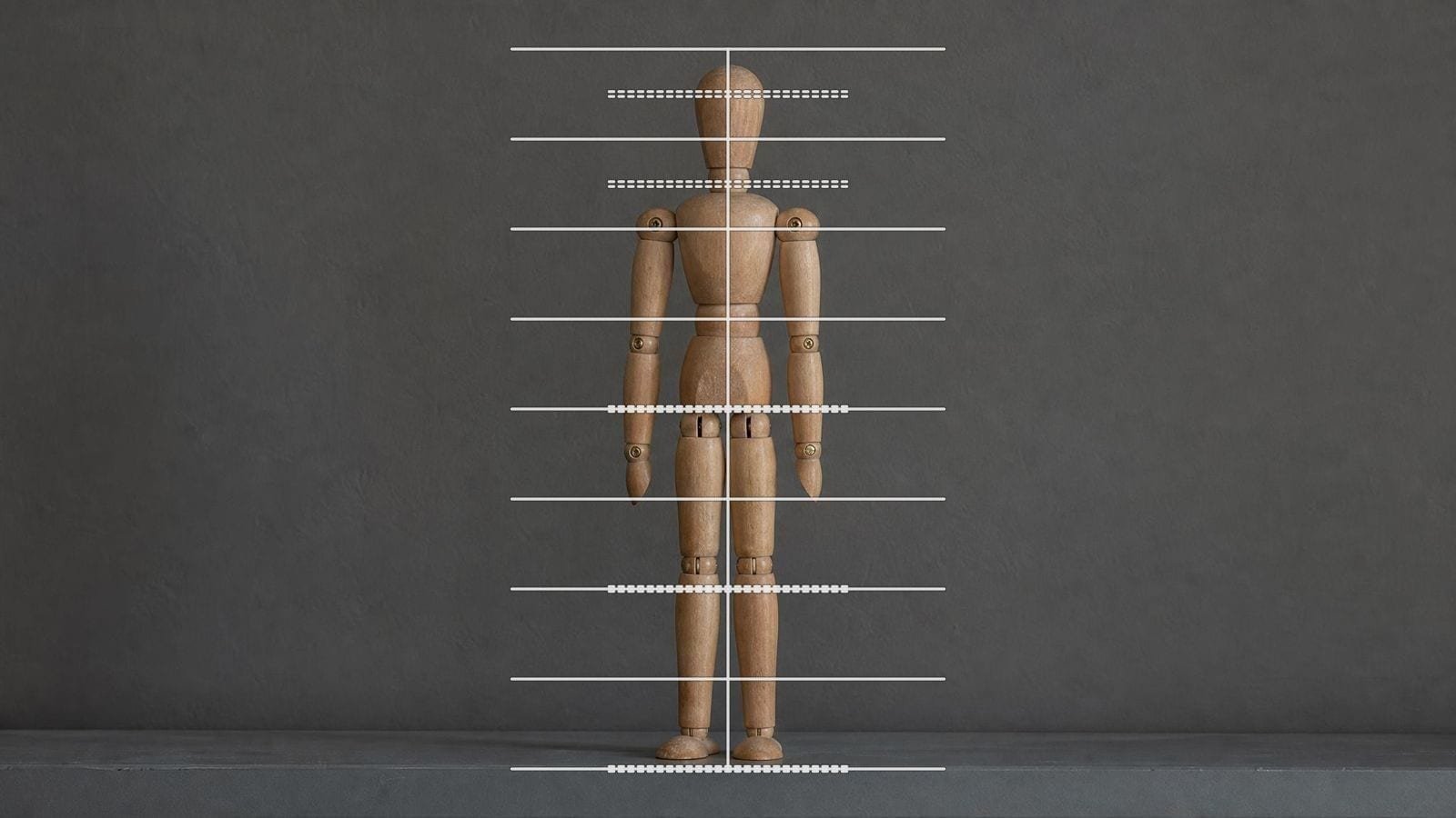 Figure proportion overlay on a jointed wooden lay figure standing upright at full length
