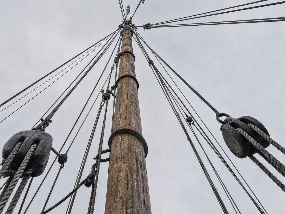 Standing rigging running from deck to masthead in a fan of long straight diagonals