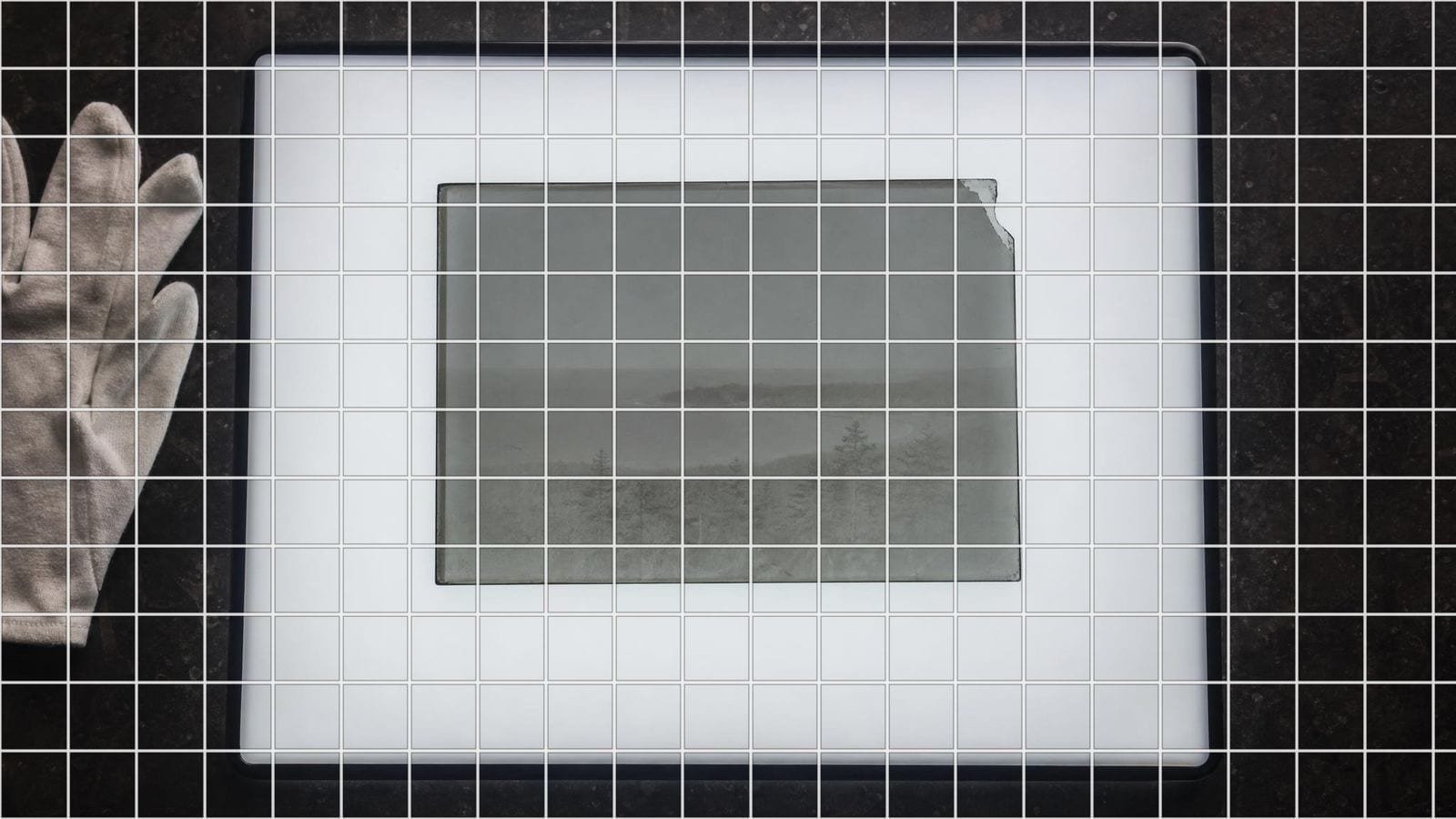 Grid overlay on an antique glass plate negative resting on a softly lit lightbox