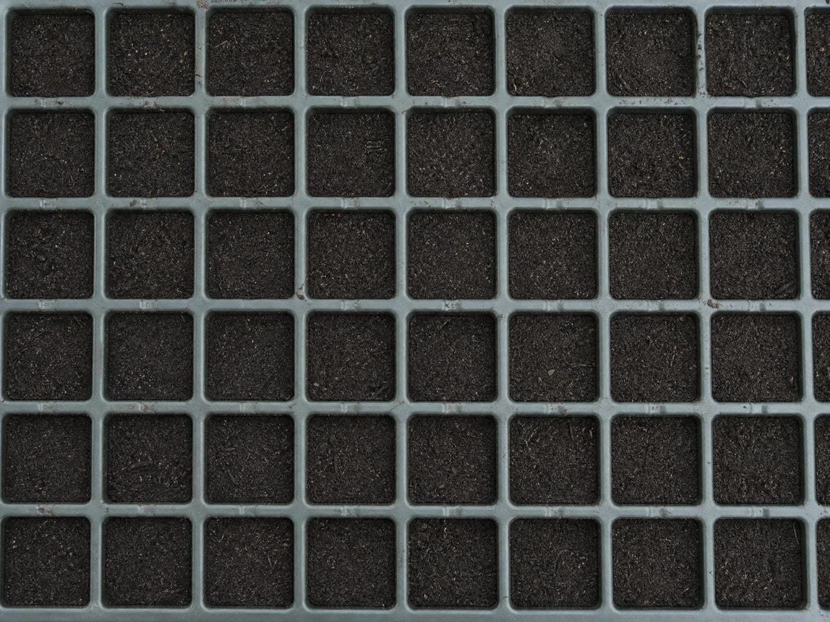 A seed tray of equal square cells filled level with dark sieved compost