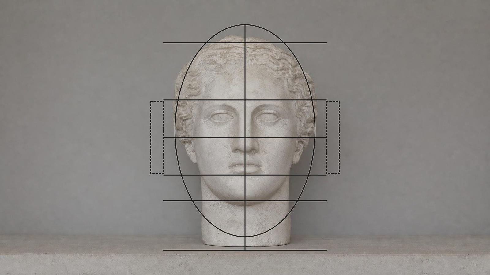 Portrait grid overlay on a frontal plaster cast head lit evenly from the front