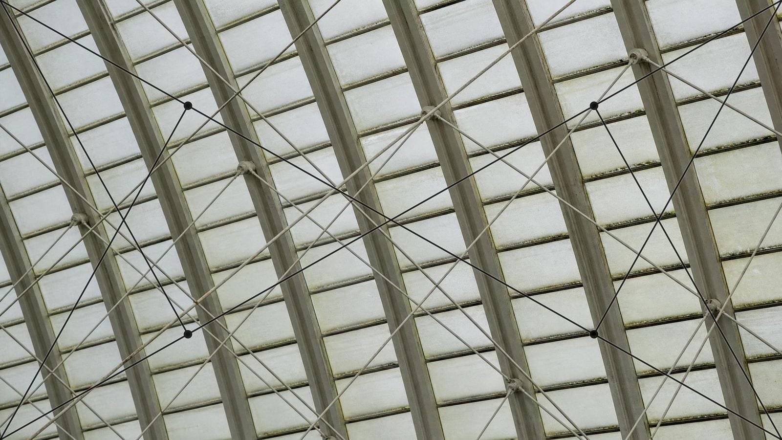 Reciprocal lines overlay on a Victorian glasshouse roof of glazing bars and crossed stays