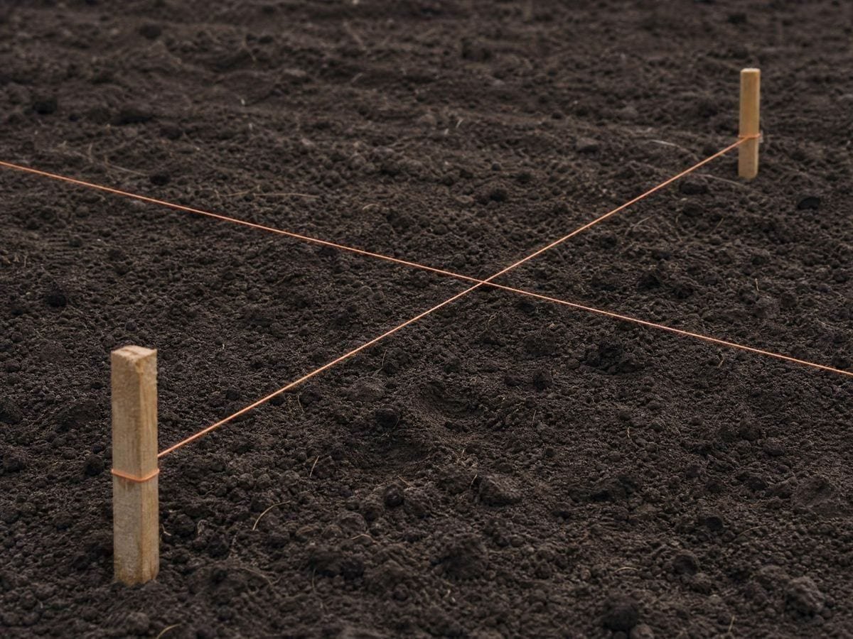 Two taut mason's lines running between timber pegs and crossing over turned earth