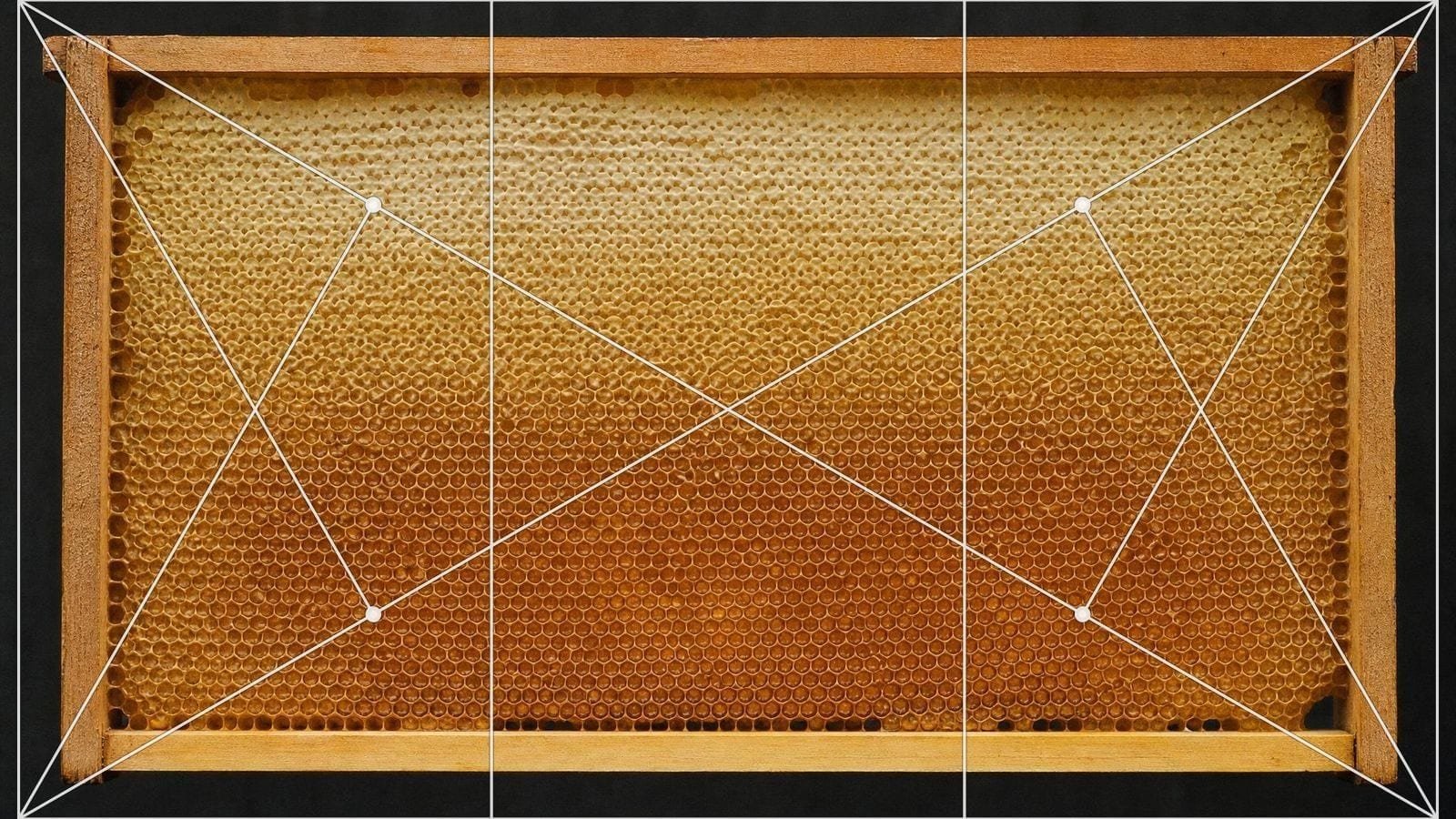 Root 3 armature overlay on a frame of natural honeycomb with capped cells in rows