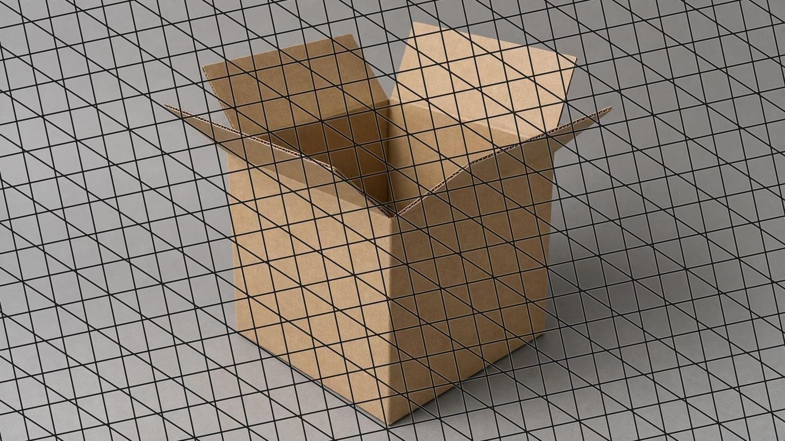 Trimetric grid overlay on an open kraft carton showing three faces at three angles