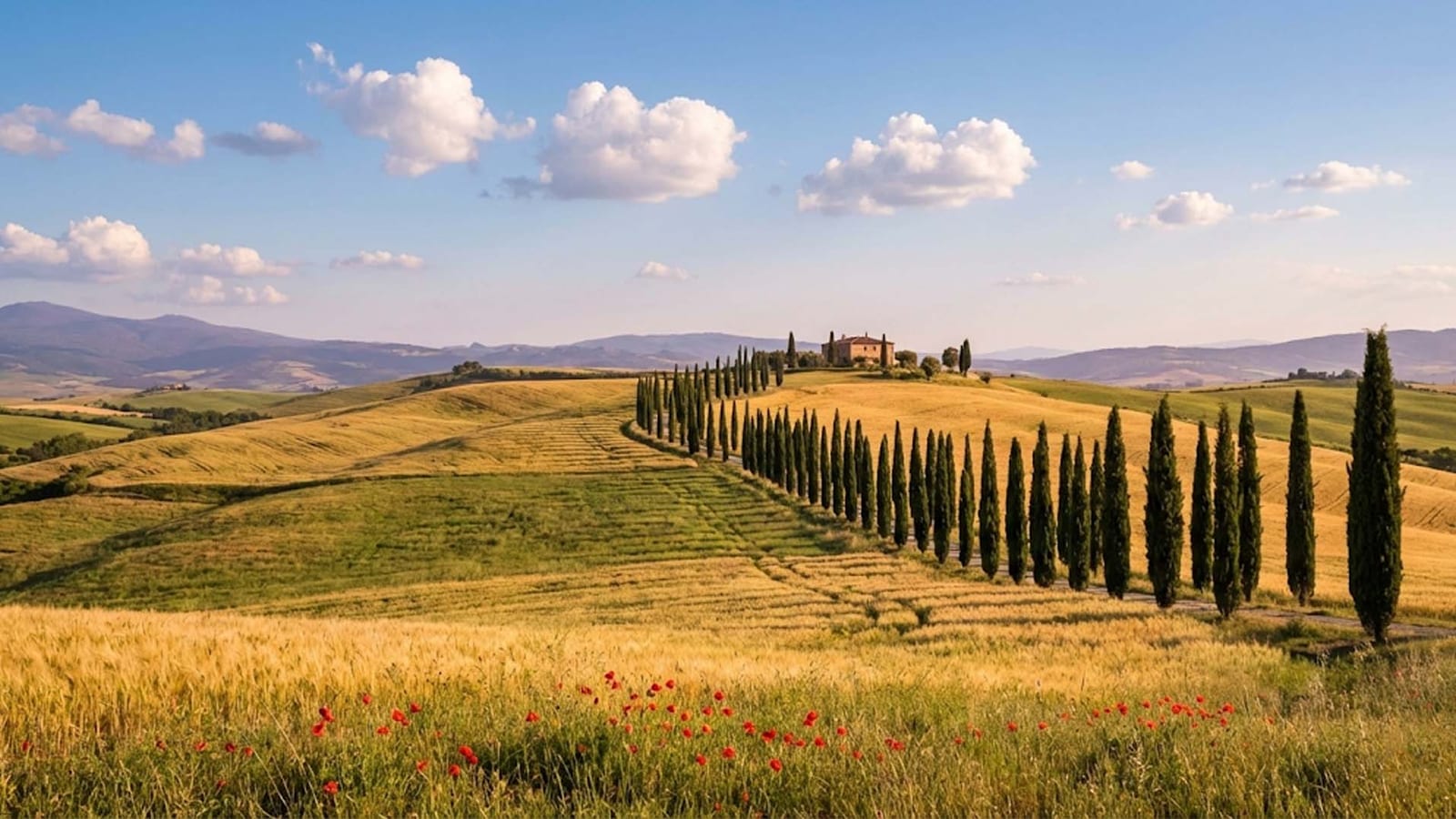 Landscape composition before using golden ratio